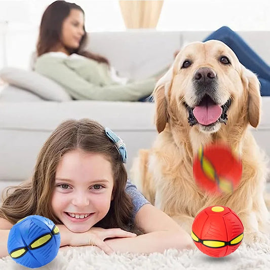 Flying Saucer Ball Dog Toys Magic Funny Pet Toy - Velvvista
