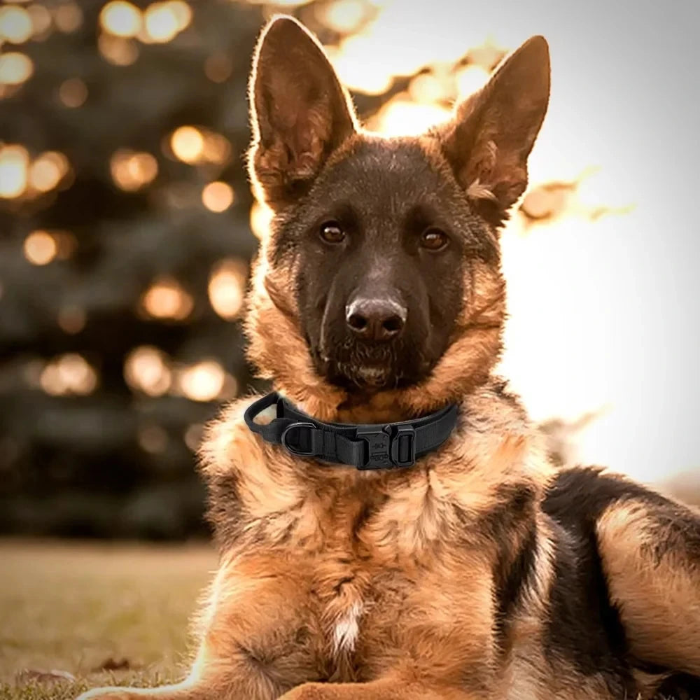 Tactical Police Military Dog Collar Adjustable - Velvvista
